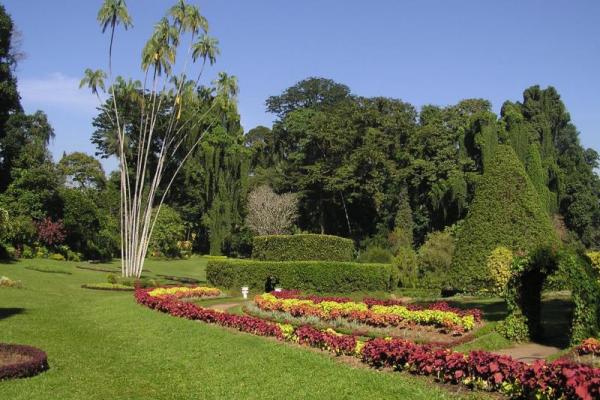 Šri Lanka, otok, plaža, morje, resort, vrt